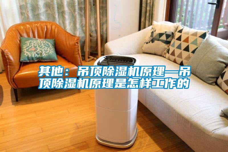 其他:吊頂除濕機原理—吊頂除濕機原理是怎樣工作的