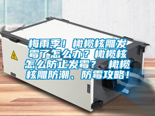 梅雨季！橄欖核雕發霉了怎么辦？橄欖核怎么防止發霉？ 橄欖核雕防潮、防霉攻略！