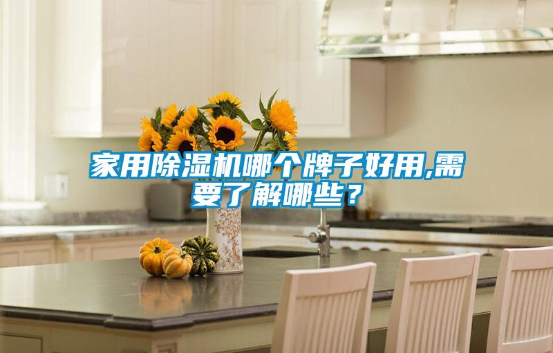 家用除濕機(jī)哪個牌子好用,需要了解哪些?