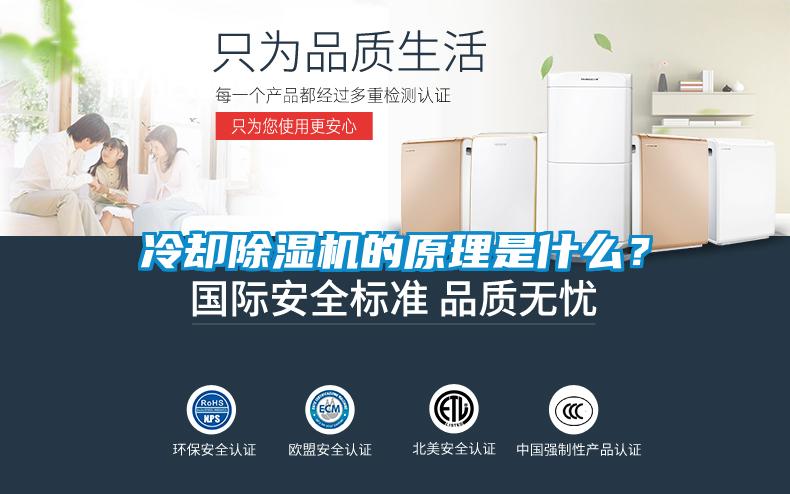 冷卻除濕機的原理是什么？