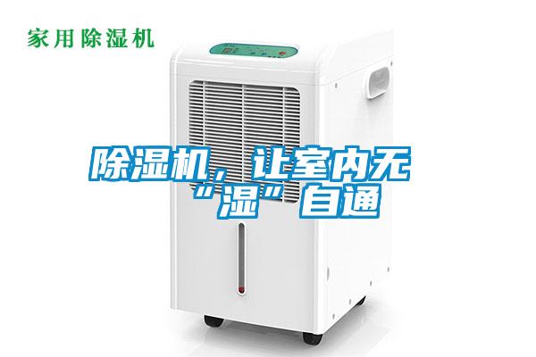 除濕機(jī),讓室內(nèi)無“濕”自通