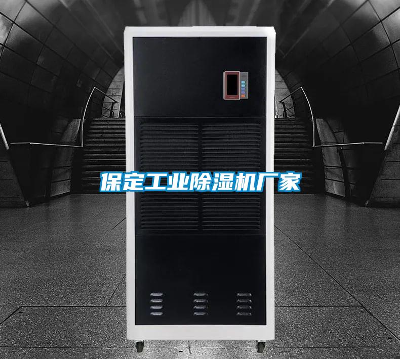保定工業(yè)除濕機(jī)廠(chǎng)家