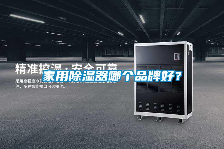 家用除濕器哪個品牌好?