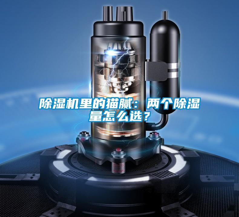 除濕機(jī)里的貓膩:兩個(gè)除濕量怎么選?