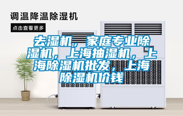 去濕機(jī),家庭專業(yè)除濕機(jī),上海抽濕機(jī),上海除濕機(jī)批發(fā),上海除濕機(jī)價(jià)錢