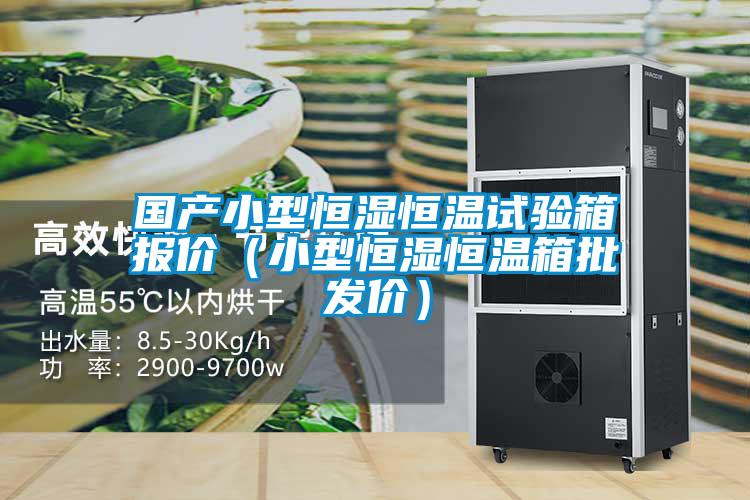 國產(chǎn)小型恒濕恒溫試驗箱報價(小型恒濕恒溫箱批發(fā)價)