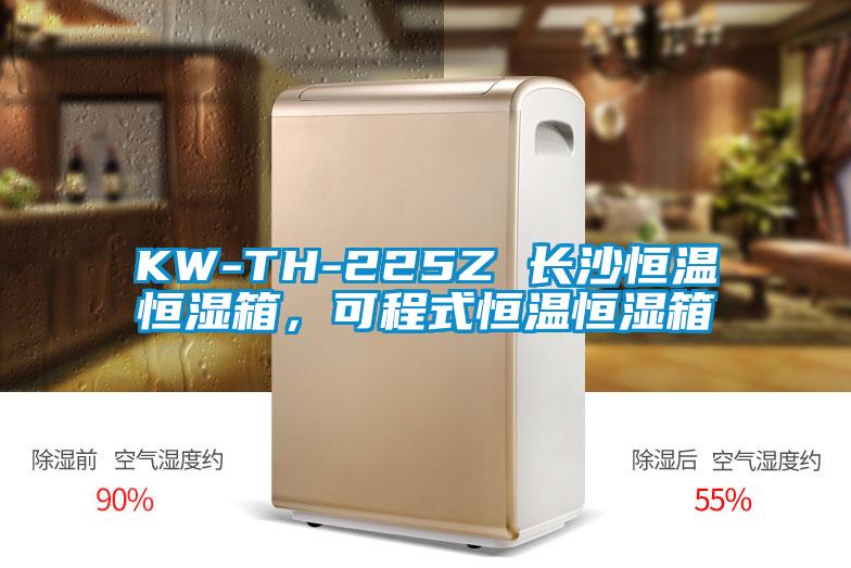 KW-TH-225Z 長沙恒溫恒濕箱,可程式恒溫恒濕箱