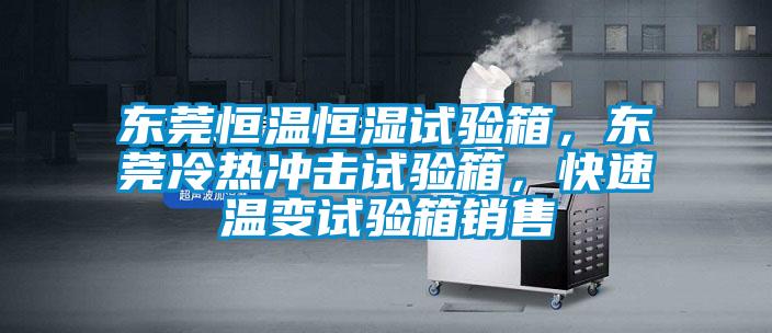 東莞恒溫恒濕試驗箱，東莞冷熱沖擊試驗箱，快速溫變試驗箱銷售