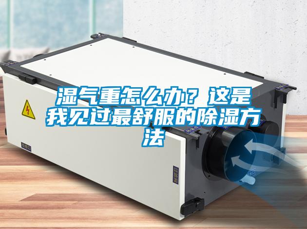 濕氣重怎么辦？這是我見過最舒服的除濕方法