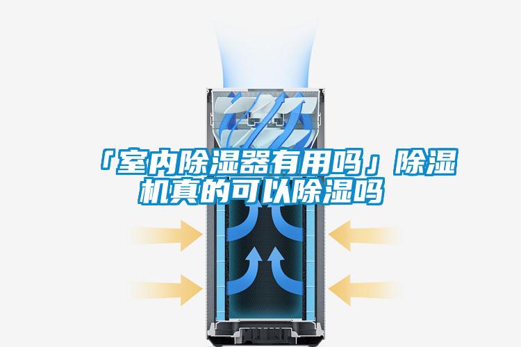 「室內(nèi)除濕器有用嗎」除濕機真的可以除濕嗎