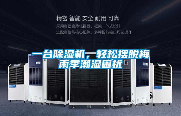 一臺(tái)除濕機(jī),輕松擺脫梅雨季潮濕困擾