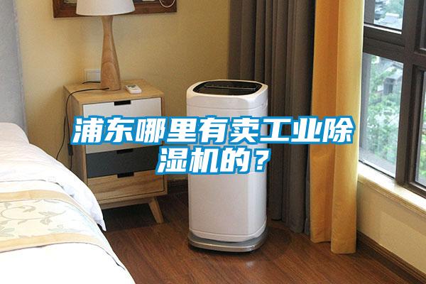 浦東哪里有賣工業除濕機的？