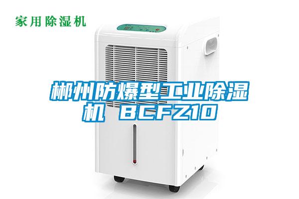 郴州防爆型工業除濕機 BCFZ10