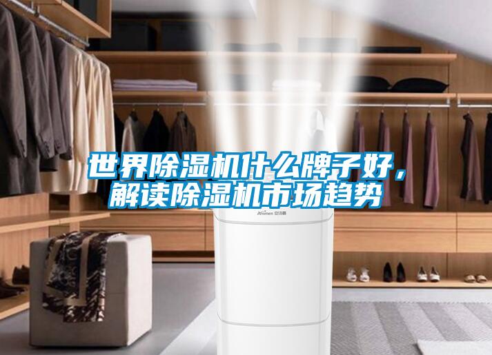 世界除濕機什么牌子好,解讀除濕機市場趨勢