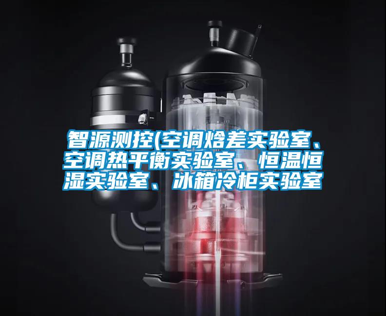 智源測控(空調焓差實驗室、空調熱平衡實驗室、恒溫恒濕實驗室、冰箱冷柜實驗室