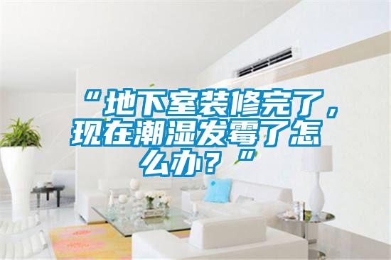 “地下室裝修完了，現在潮濕發霉了怎么辦？”