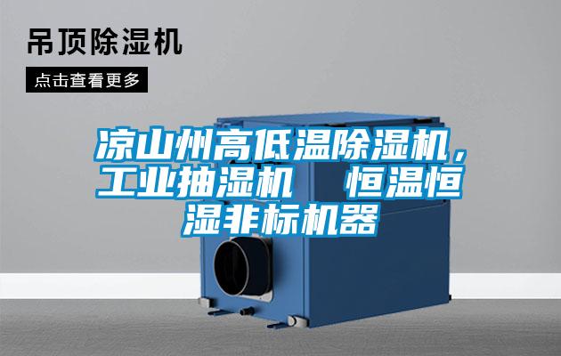 涼山州高低溫除濕機，工業抽濕機  恒溫恒濕非標機器