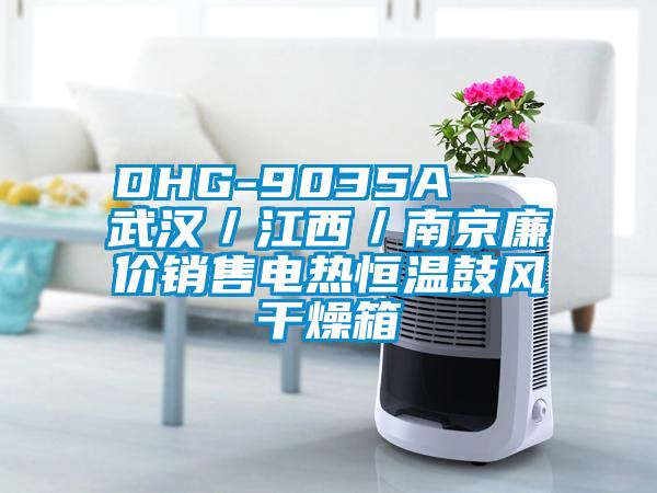 DHG-9035A 武漢/江西/南京廉價銷售電熱恒溫鼓風干燥箱