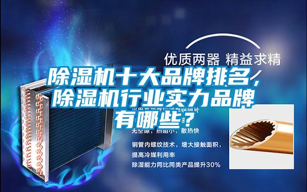 除濕機(jī)十大品牌排名，除濕機(jī)行業(yè)實(shí)力品牌有哪些？