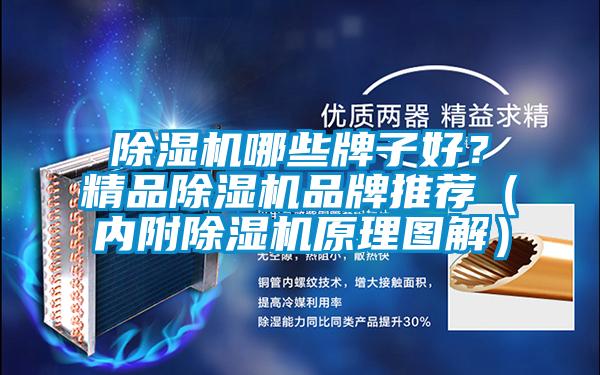 除濕機(jī)哪些牌子好？精品除濕機(jī)品牌推薦（內(nèi)附除濕機(jī)原理圖解）