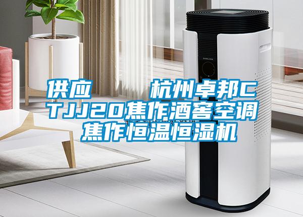 供應 杭州卓邦CTJJ20焦作酒窖空調 焦作恒溫恒濕機