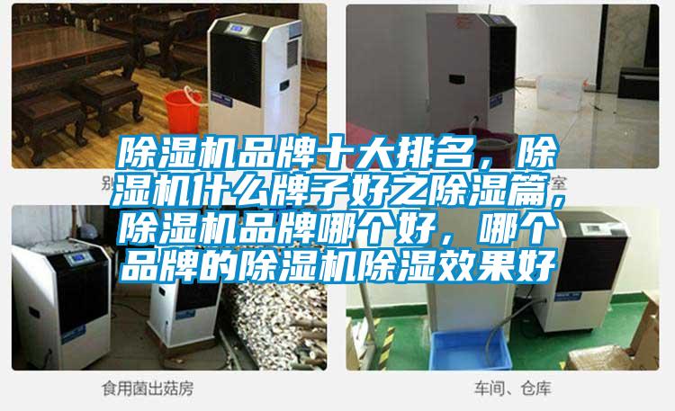 除濕機品牌十大排名，除濕機什么牌子好之除濕篇，除濕機品牌哪個好，哪個品牌的除濕機除濕效果好