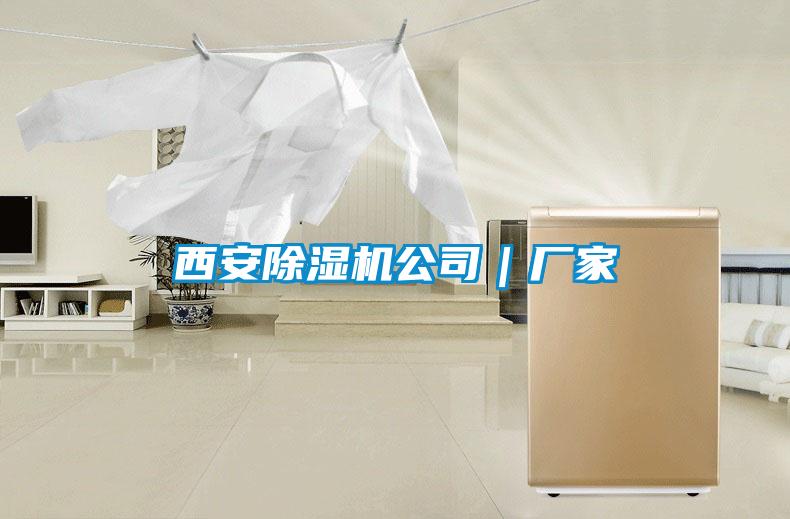 西安除濕機公司|廠家