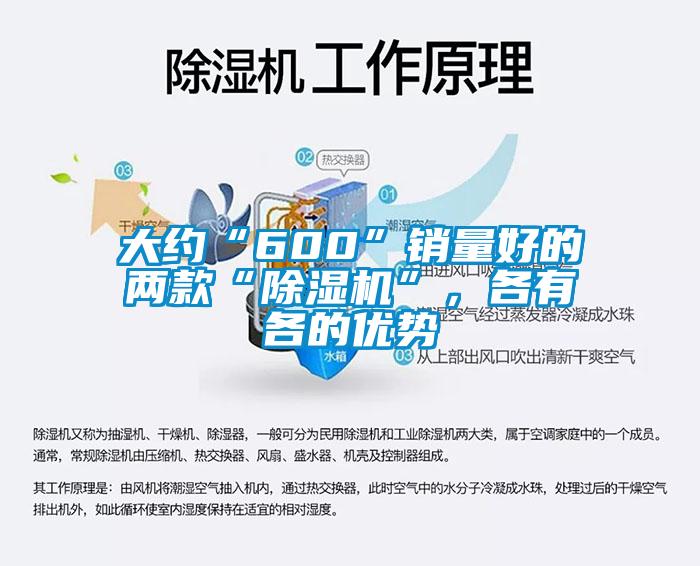 大約“600”銷量好的兩款“除濕機”，各有各的優勢