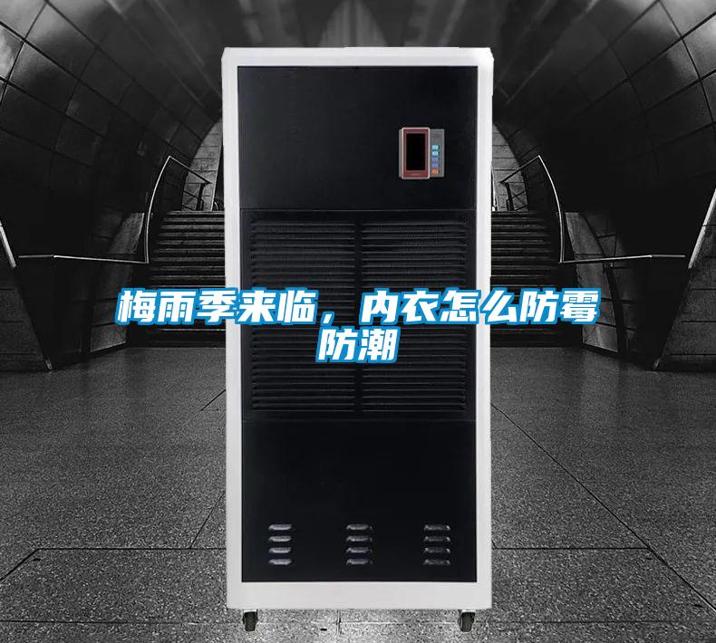梅雨季來臨，內衣怎么防霉防潮
