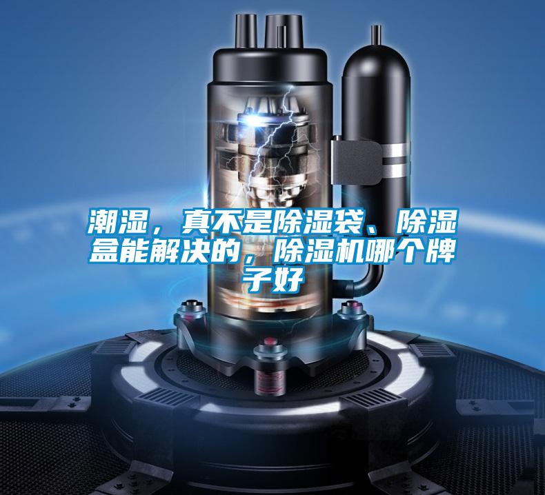 潮濕,真不是除濕袋、除濕盒能解決的,除濕機哪個牌子好