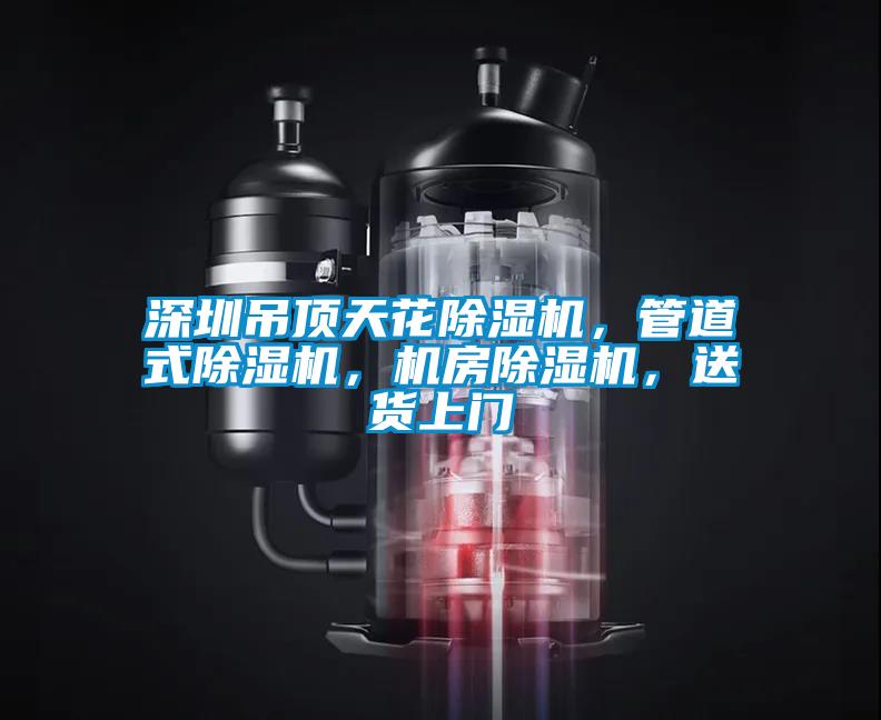 深圳吊頂天花除濕機，管道式除濕機，機房除濕機，送貨上門