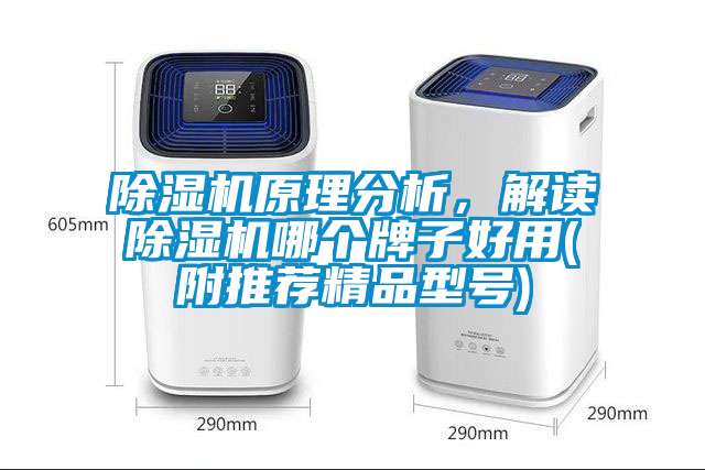 除濕機原理分析，解讀除濕機哪個牌子好用(附推薦精品型號)