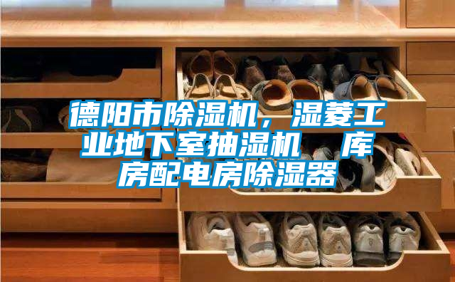 德陽市除濕機，濕菱工業地下室抽濕機  庫房配電房除濕器