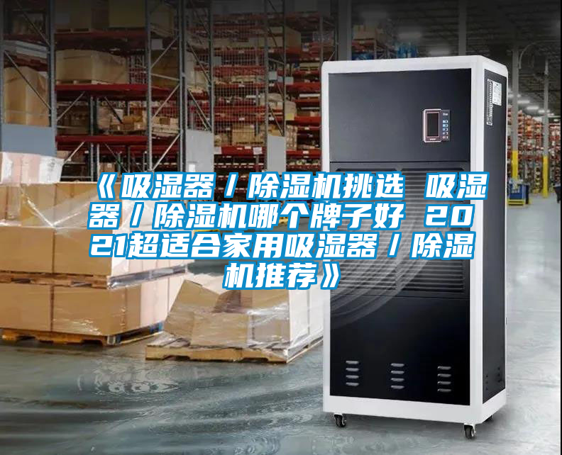 《吸濕器/除濕機挑選 吸濕器/除濕機哪個牌子好 2021超適合家用吸濕器/除濕機推薦》