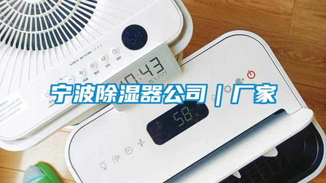 寧波除濕器公司|廠家