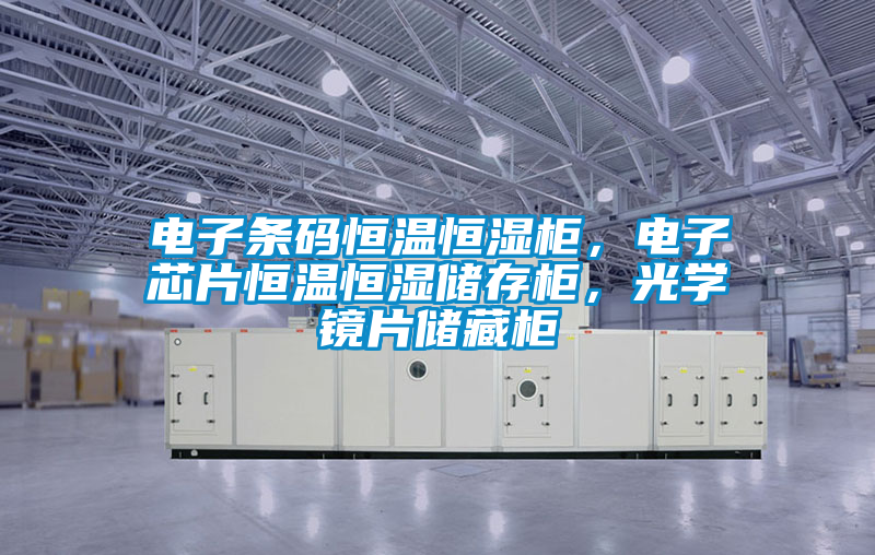 電子條碼恒溫恒濕柜,電子芯片恒溫恒濕儲存柜,光學鏡片儲藏柜