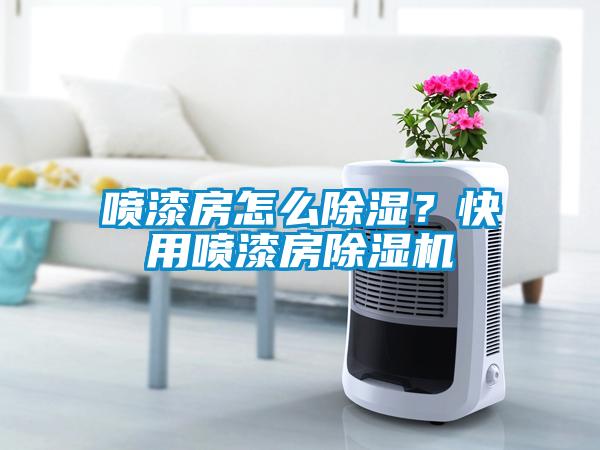 噴漆房怎么除濕?快用噴漆房除濕機