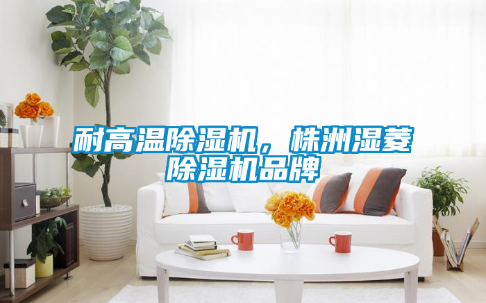 耐高溫除濕機，株洲濕菱除濕機品牌