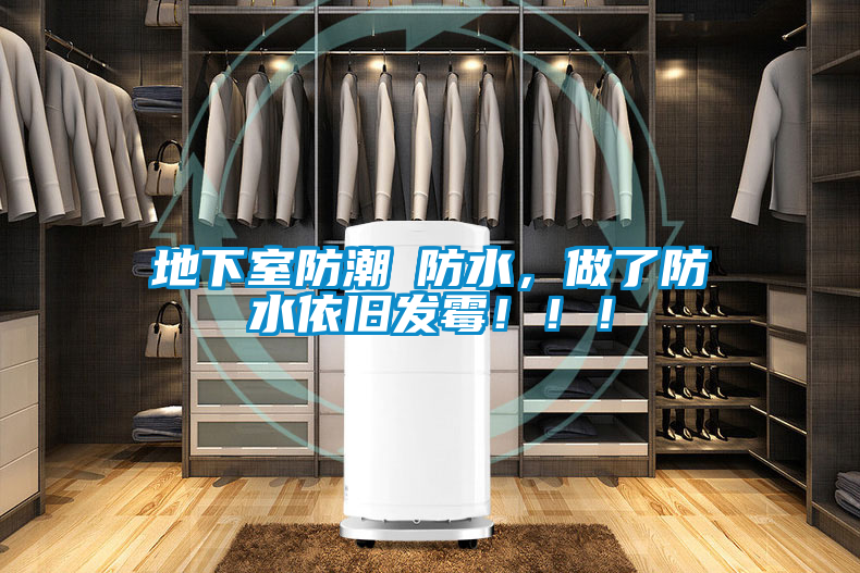 地下室防潮≠防水，做了防水依舊發(fā)霉！??！