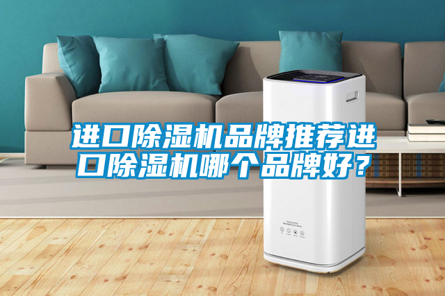 進口除濕機品牌推薦進口除濕機哪個品牌好?