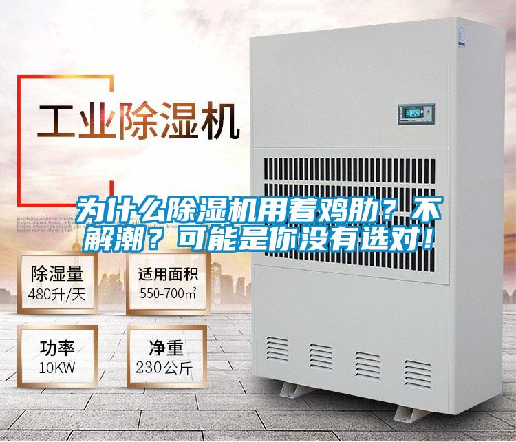 為什么除濕機用著雞肋?不解潮?可能是你沒有選對!