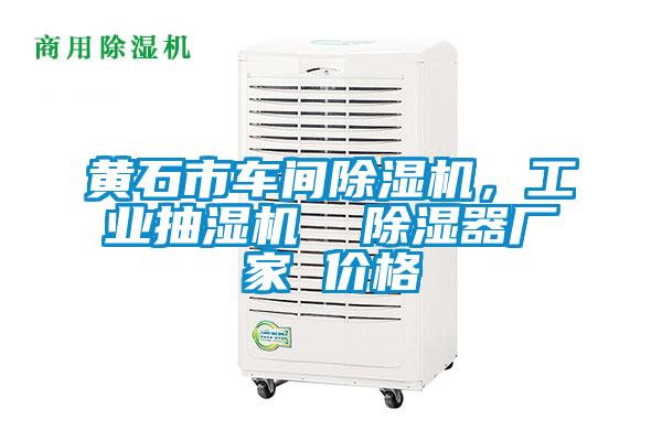 黃石市車間除濕機，工業抽濕機  除濕器廠家 價格