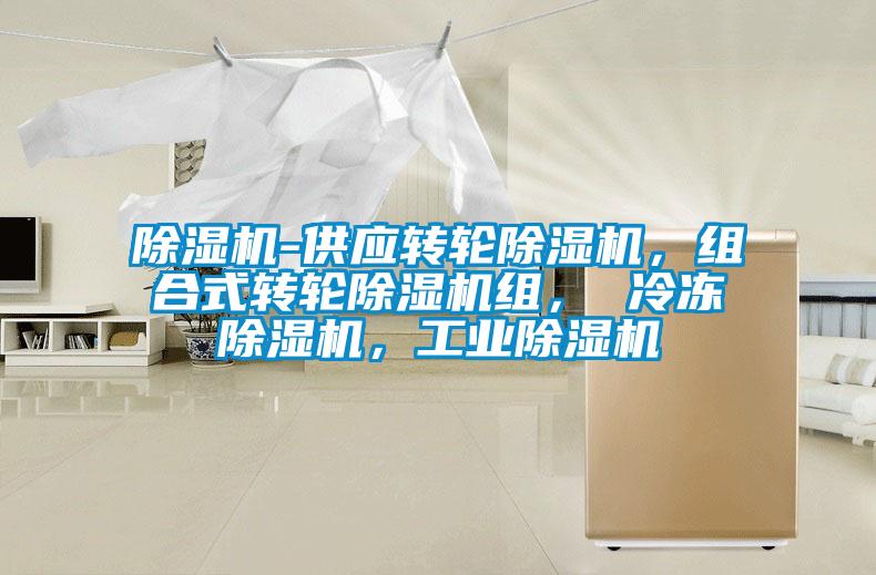 除濕機-供應轉輪除濕機，組合式轉輪除濕機組， 冷凍除濕機，工業除濕機