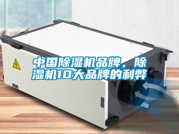 中國除濕機品牌,除濕機10大品牌的利弊