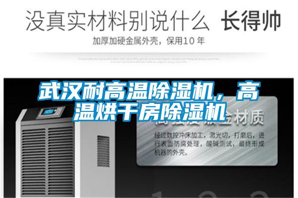 武漢耐高溫除濕機(jī),高溫烘干房除濕機(jī)