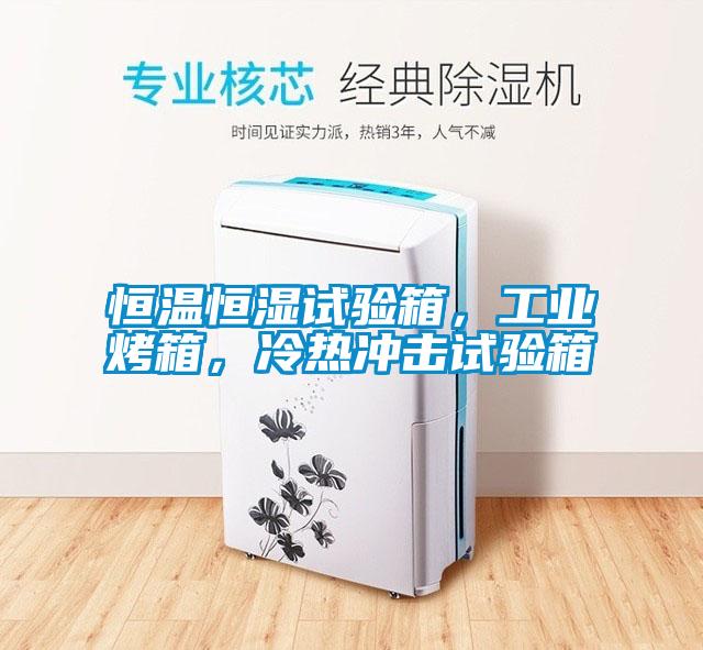 恒溫恒濕試驗箱，工業(yè)烤箱，冷熱沖擊試驗箱
