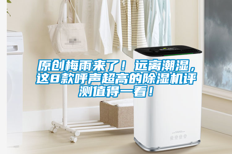 原創梅雨來了!遠離潮濕,這8款呼聲超高的除濕機評測值得一看!