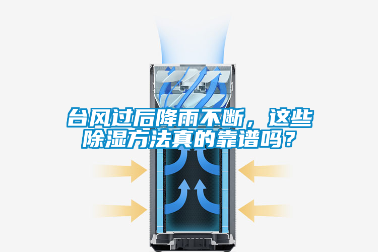 臺風過后降雨不斷,這些除濕方法真的靠譜嗎?