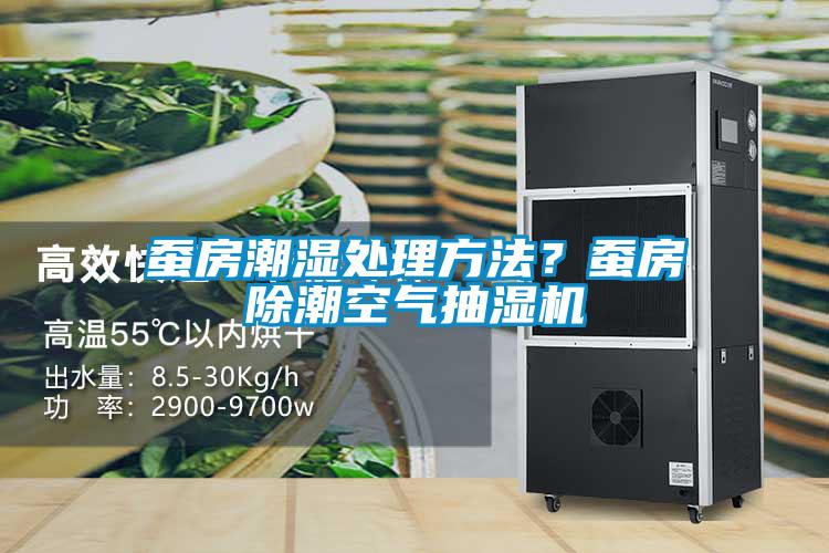 蠶房潮濕處理方法？蠶房除潮空氣抽濕機