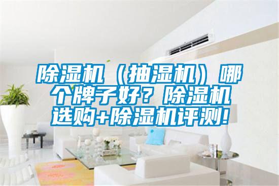 除濕機（抽濕機）哪個牌子好？除濕機選購+除濕機評測!